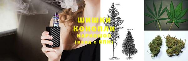 винт Каменка