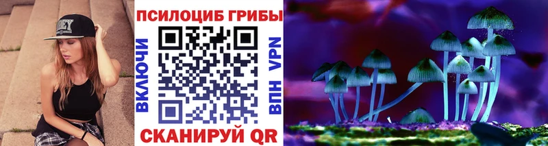 Галлюциногенные грибы мицелий  продажа наркотиков  Асино 